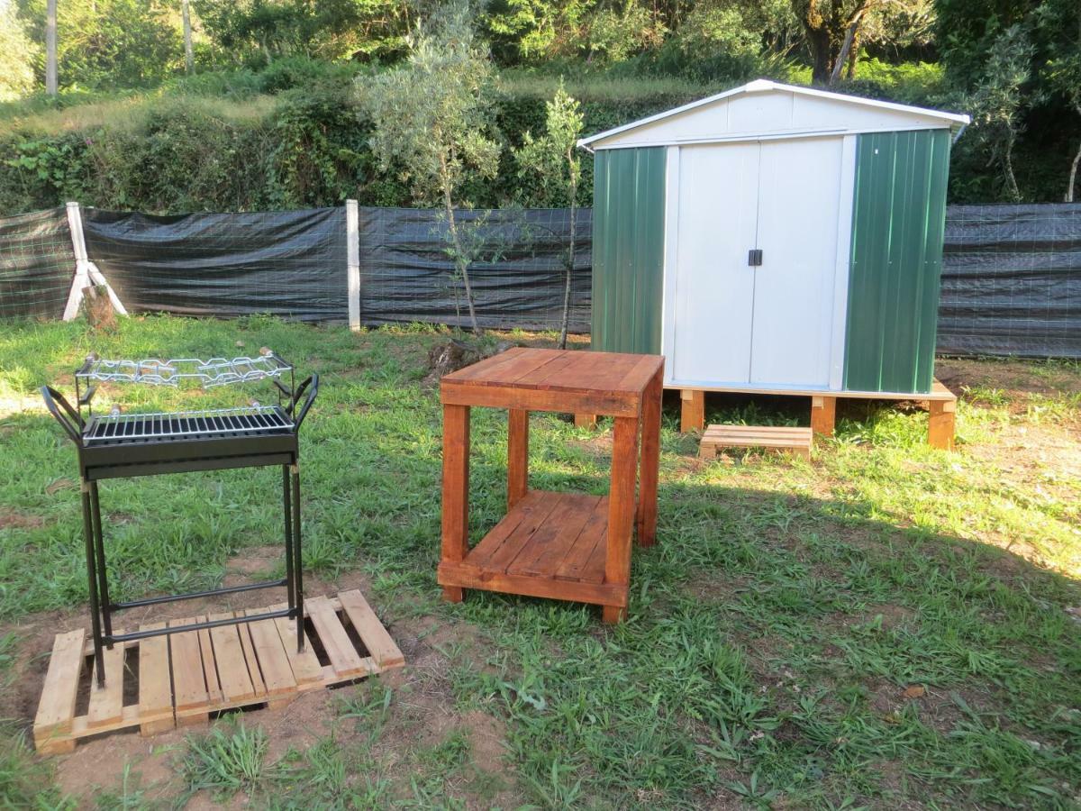 Casinha Das Oliveiras - A 300 Metros Dos Passadicos Do Paiva Villa Espiunca Luaran gambar